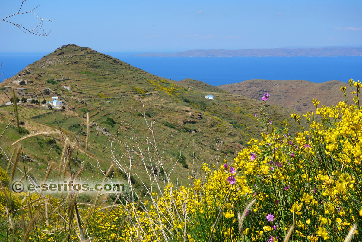 Chapels in Serifos  in a spring landscape